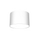 Lampa sufitowa DIXIE White  1xGX53