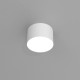 Lampa sufitowa DIXIE White  1xGX53